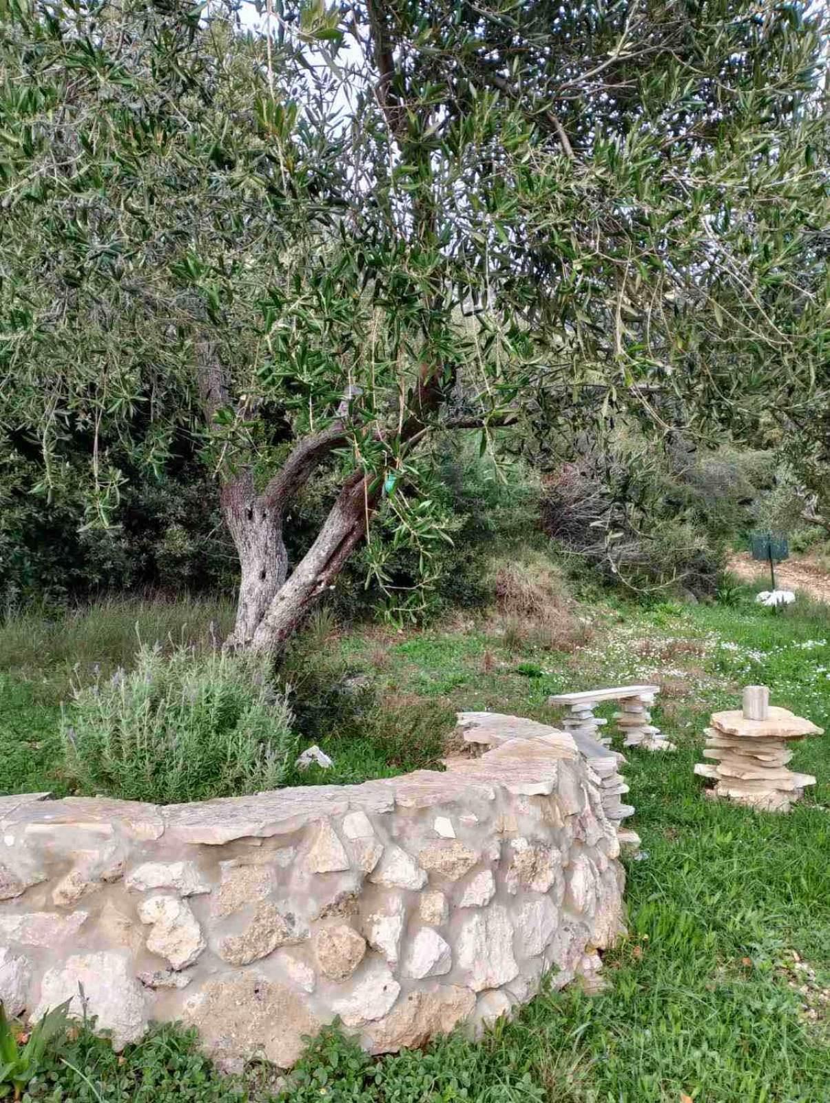 Campeggio Terraoliva&herbs *