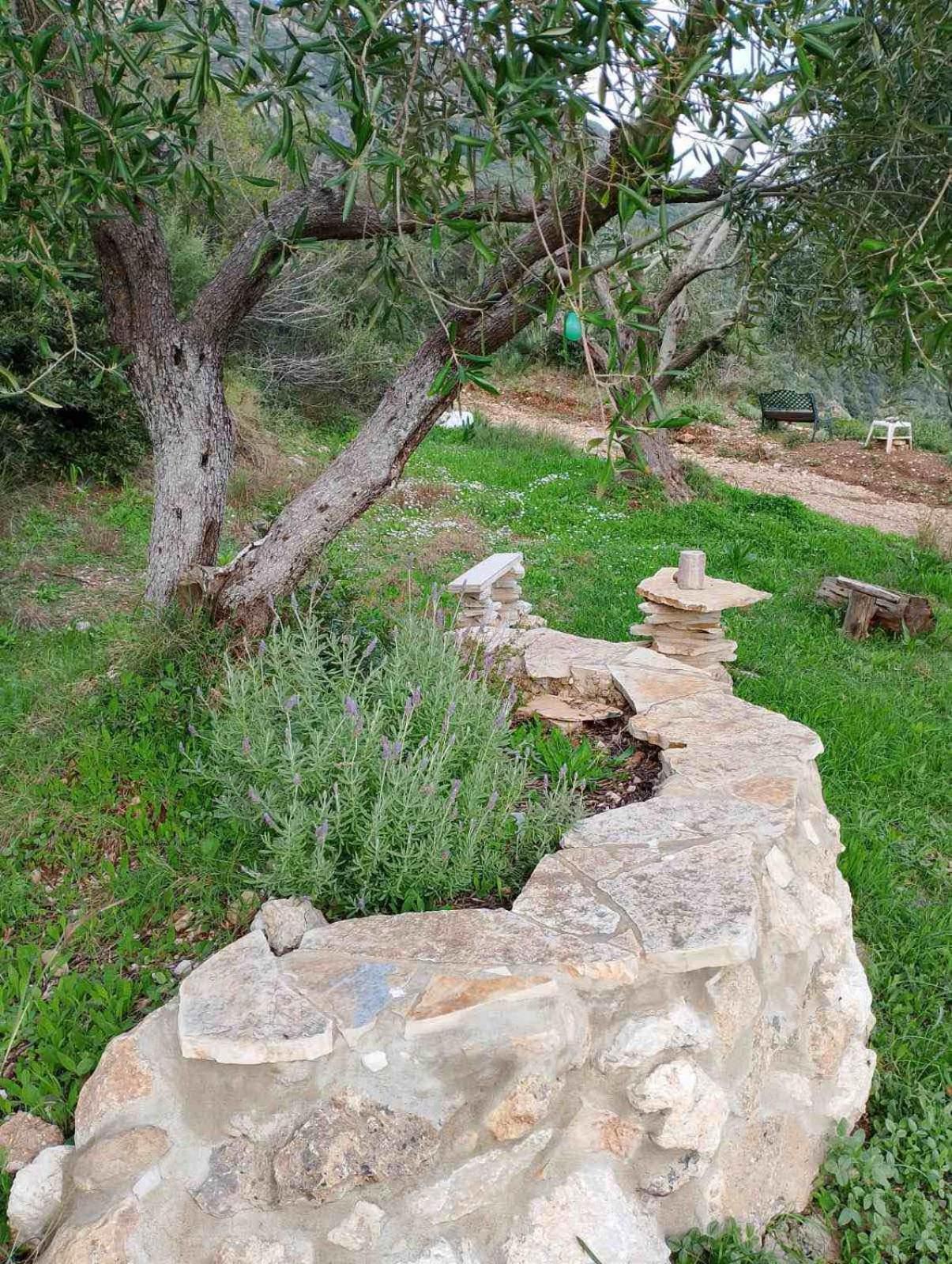 Terraoliva&herbs Campeggio Vátos