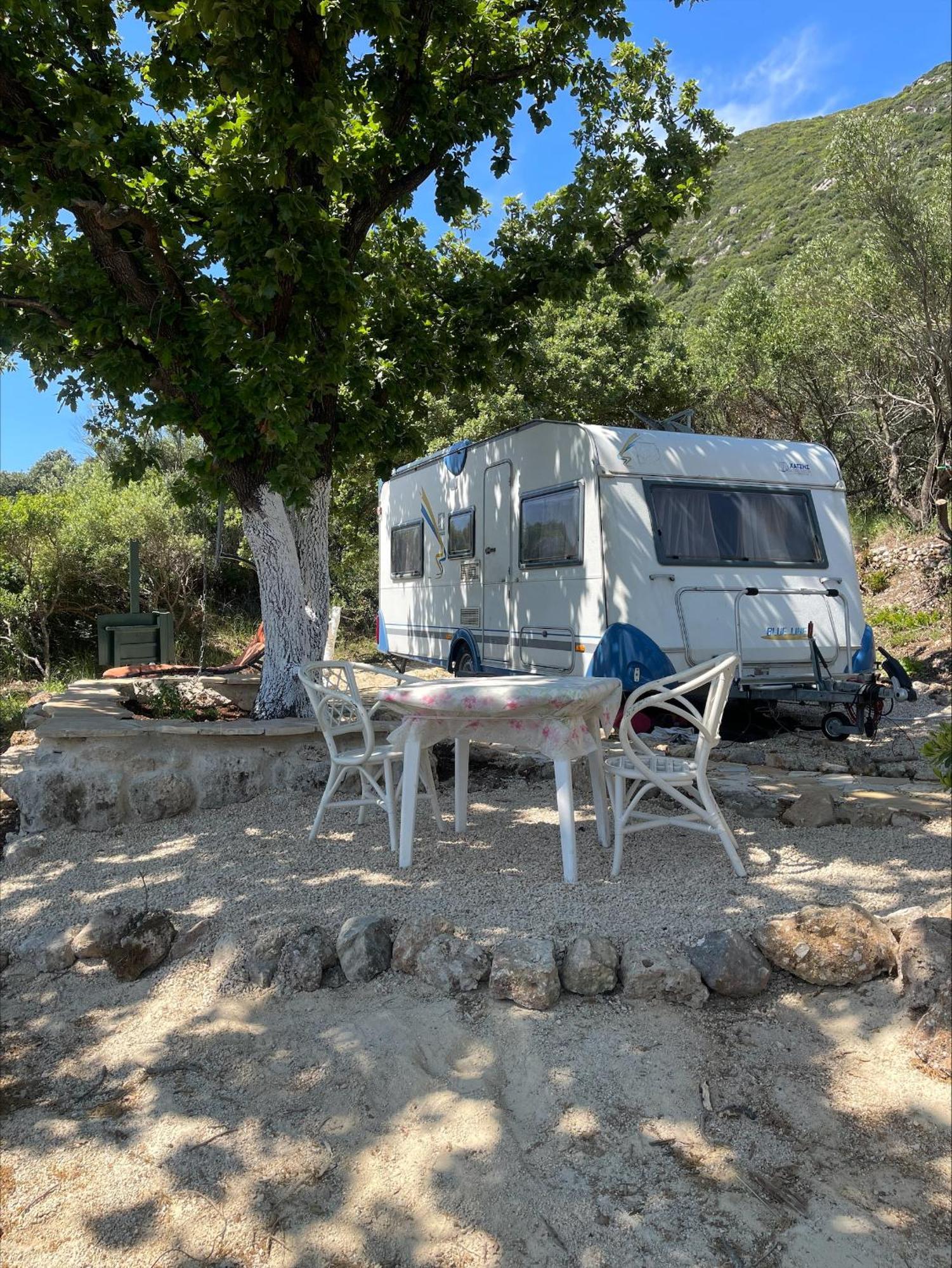 Terraoliva&herbs Campsite *
